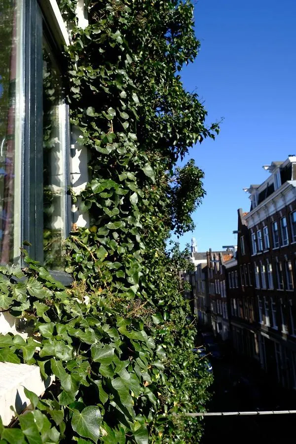 Studio Eelhouse Amsterdam 0*,  Netherlands