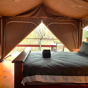 Wild Nature Lodge, Mareeba Wetlands Luxury tent Biboohra